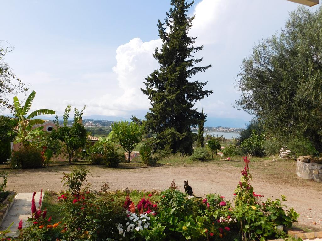 Olga'S Hill Villa Perama  Ngoại thất bức ảnh